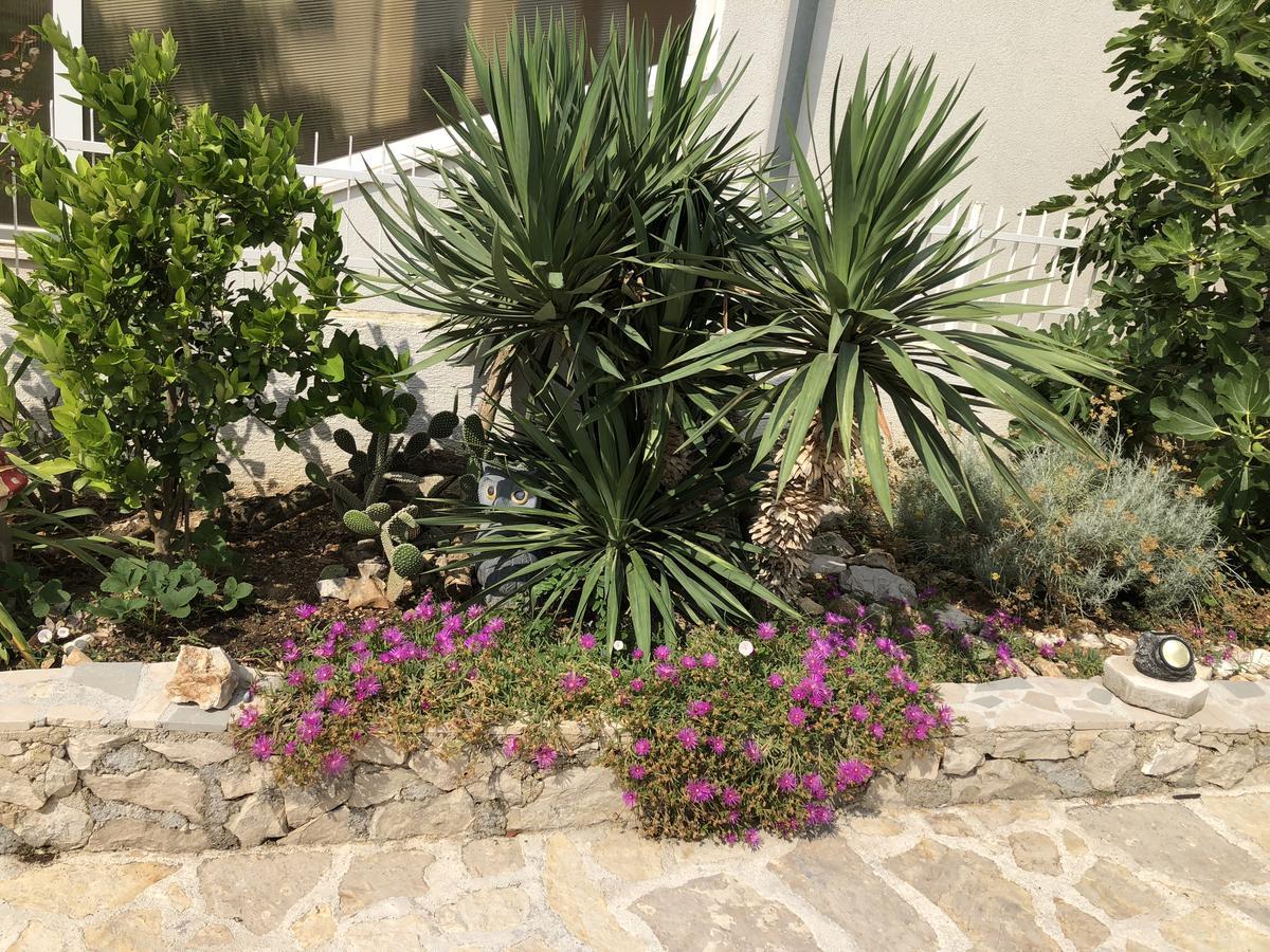 Apartmani Zvijezda Rogoznica (Sibenik-Knin) Exteriör bild